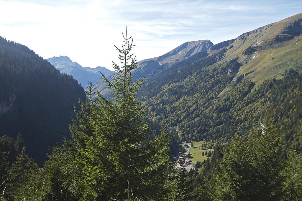 Chalet Genepi Montriond Exteriör bild